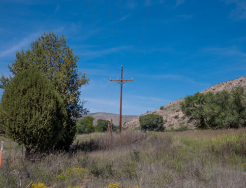 Utility Pole Replacement & Vegetation Management for Fiber Expansion